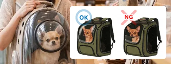 ワンちゃんと一緒にお買い物
